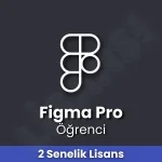 Figma Pro