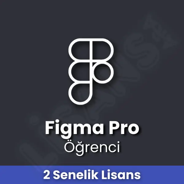 Figma Pro