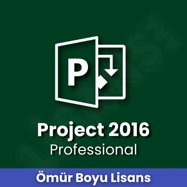 Project 2016 Pro Key