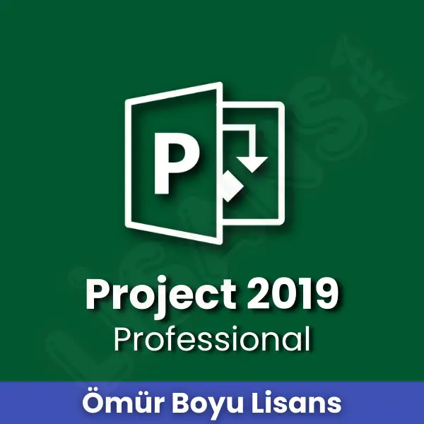 Project 2019 Pro Key